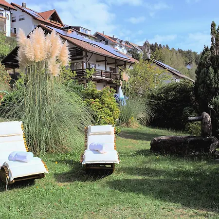 Schauinsland 3* باد بيترستال غريسب