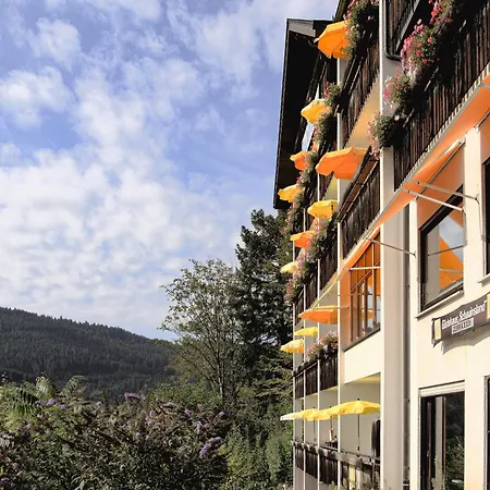 فندق Schauinsland 3*