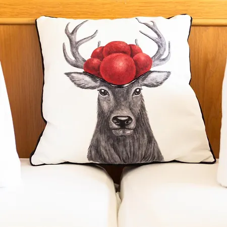 Schauinsland فندق 3*