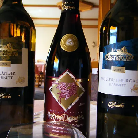 فندق Schauinsland 3*