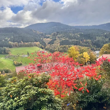 Hotel Schauinsland Bad Peterstal-Griesbach