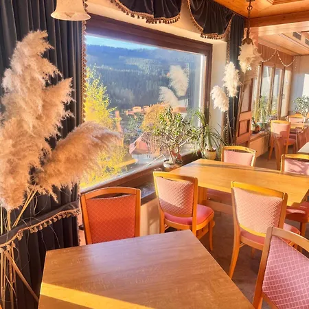 Schauinsland فندق باد بيترستال غريسب