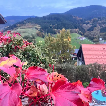 Schauinsland فندق