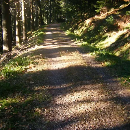 Schauinsland فندق 3*