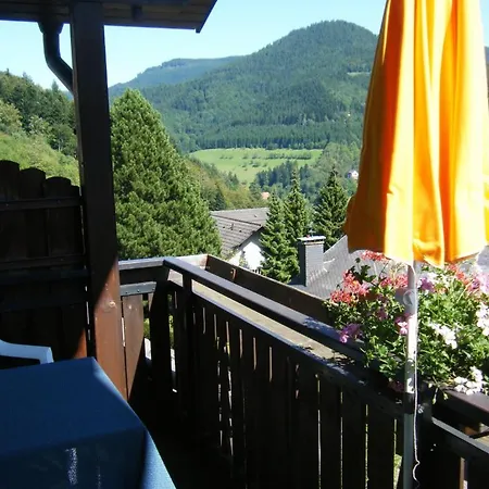 Hotell Schauinsland Bad Peterstal-Griesbach