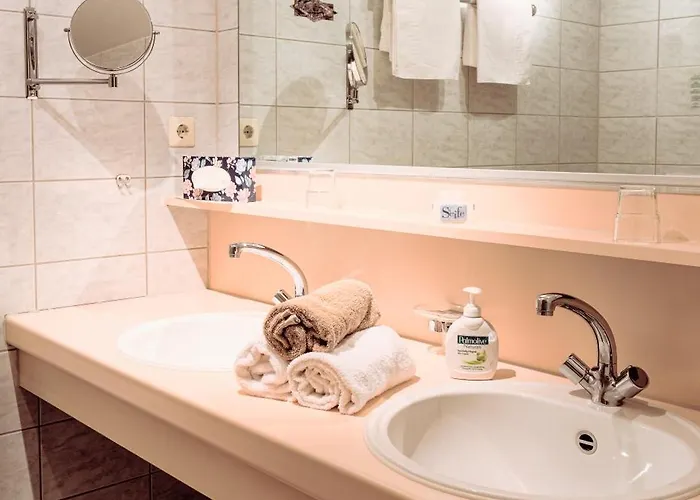 酒店 Schauinsland 巴特彼得斯塔尔-格里斯巴赫