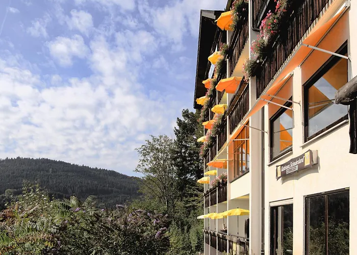 酒店 Schauinsland 3*