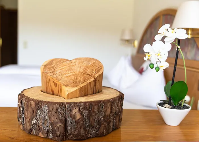 Schauinsland 巴特彼得斯塔尔-格里斯巴赫