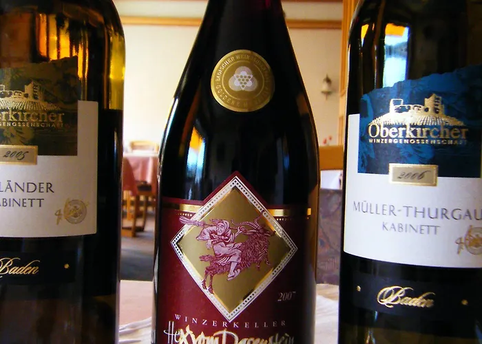 酒店 Schauinsland 3*