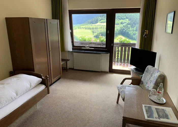 Schauinsland 巴特彼得斯塔尔-格里斯巴赫