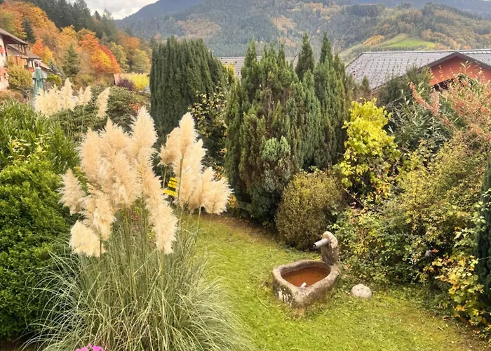 酒店 Schauinsland 3*