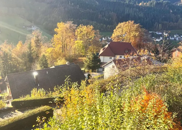 Schauinsland 3* 巴特彼得斯塔尔-格里斯巴赫