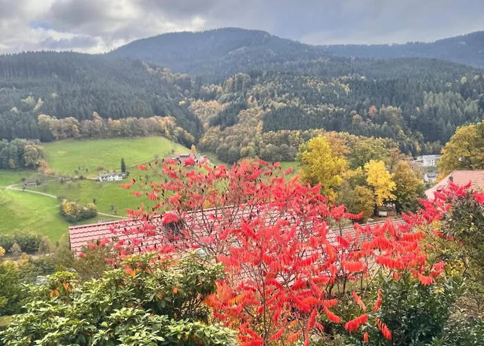 酒店 Schauinsland 巴特彼得斯塔尔-格里斯巴赫
