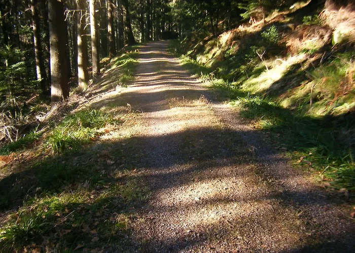 Schauinsland 酒店 3*